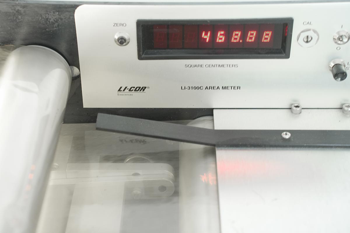 Licor Biosciences Area Meter model LI-3100C Licor Biosciences Area Meter model LI-3100C